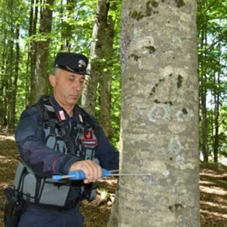08