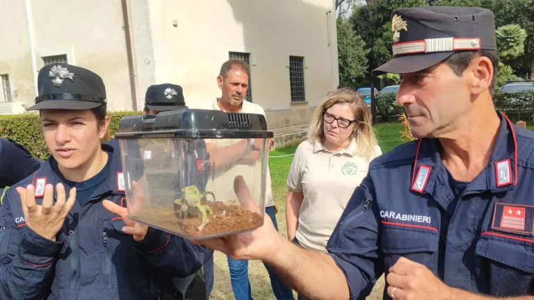 COEEP_GendarmerieFrancaise-007